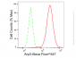 KD-Validated Anti-Arp3 Rabbit Monoclonal Antibody